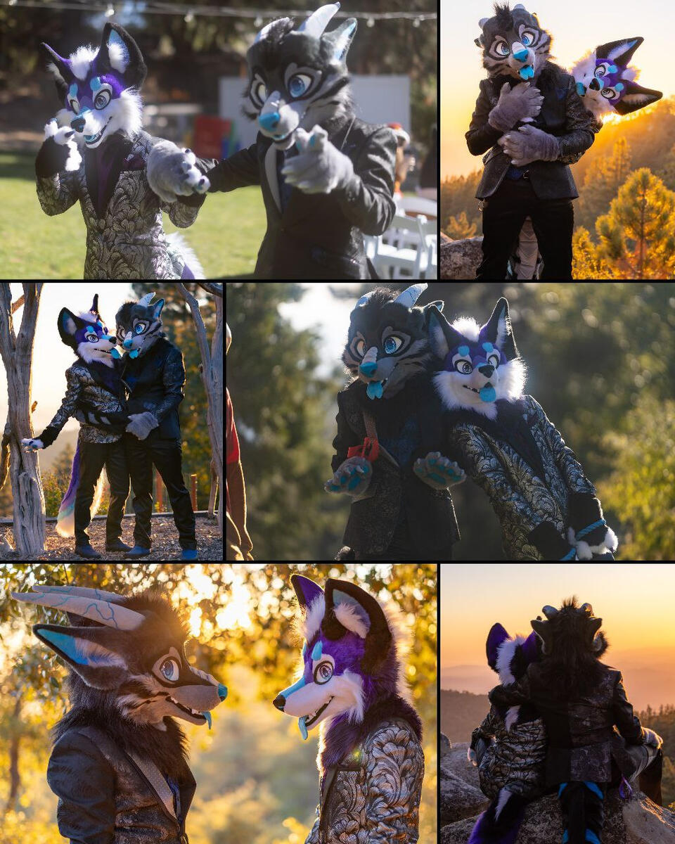 Photography by FirraWoof